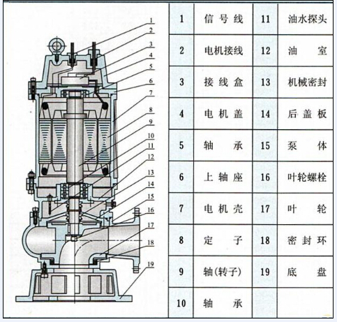 不锈钢潜水泵结构图
